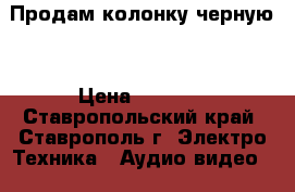 Продам колонку черную  › Цена ­ 1 000 - Ставропольский край, Ставрополь г. Электро-Техника » Аудио-видео   . Ставропольский край